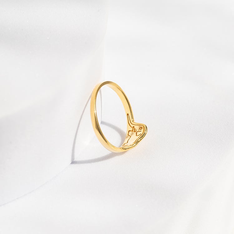 Strieborný prsteň so skrytým slonom Malý princ 141803