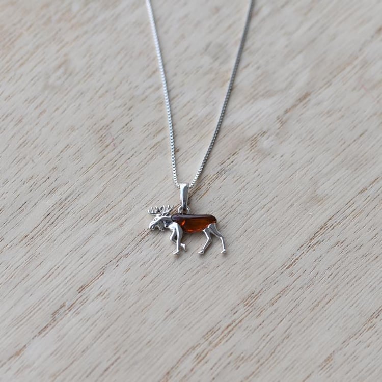 Jantárový los 52119