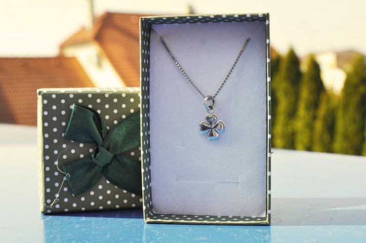 Strieborný náhrdelník so štvorlístkom Warika 4160