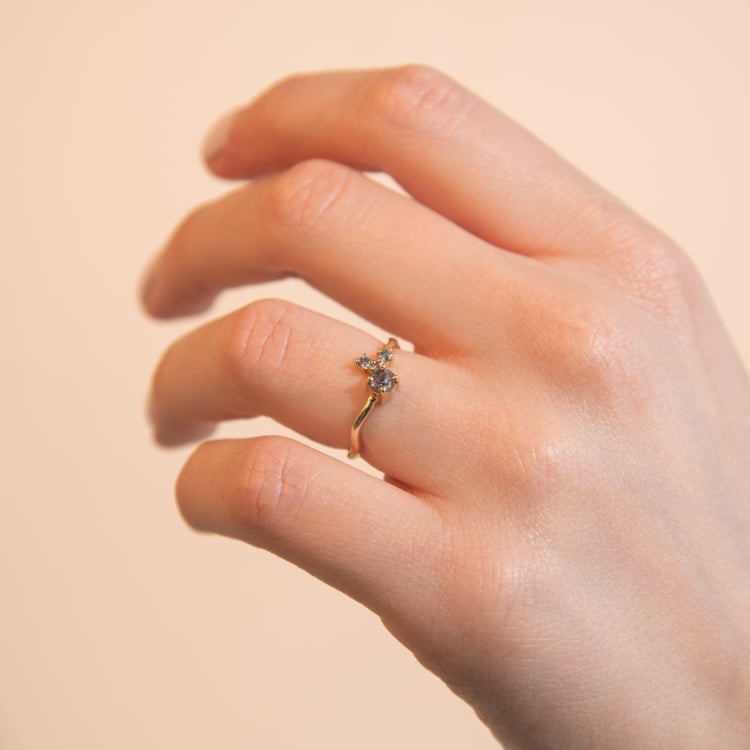 Cluster prsteň so salt and pepper diamantmi Roche 104677