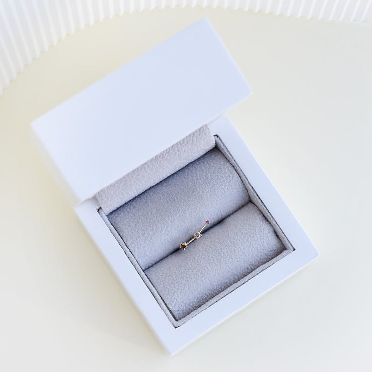 Náušnica so znamením zverokruhu Aries 95198