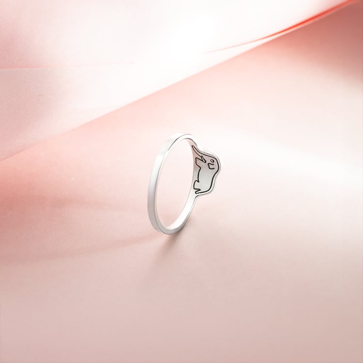 Prsteň so skrytým slonom Malý princ 150650