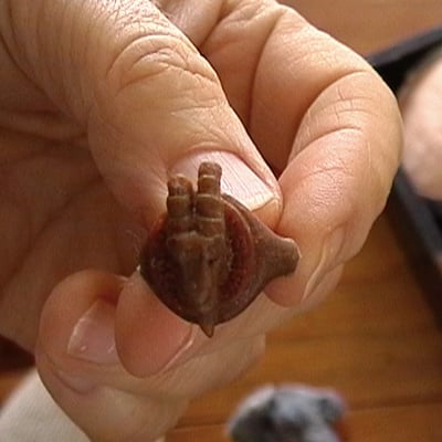 Predloha pre výrobu prsteňa