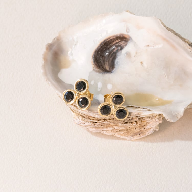 Strieborné napichovacie náušnice s čiernými ónyxmi Edna 102350