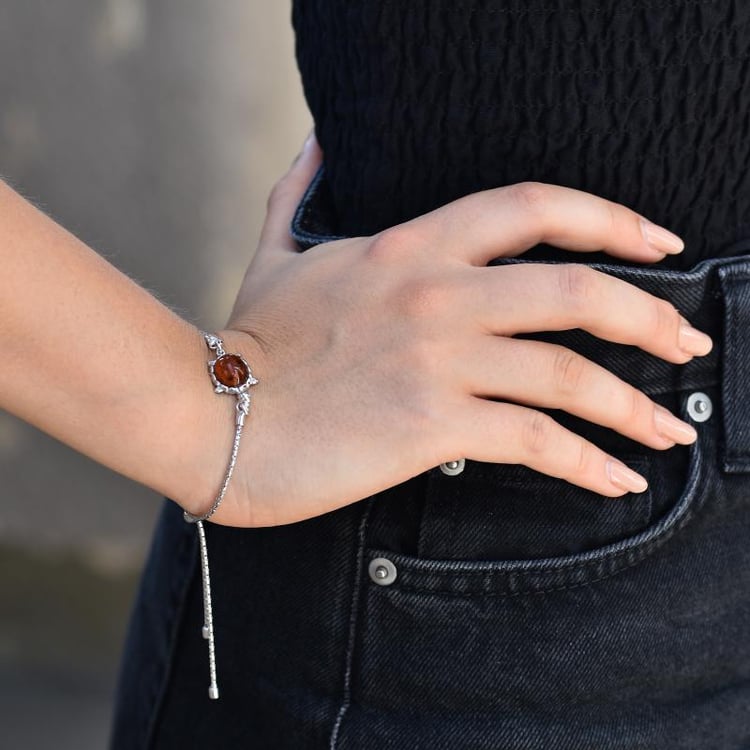 Jantárová korytnačka 32958