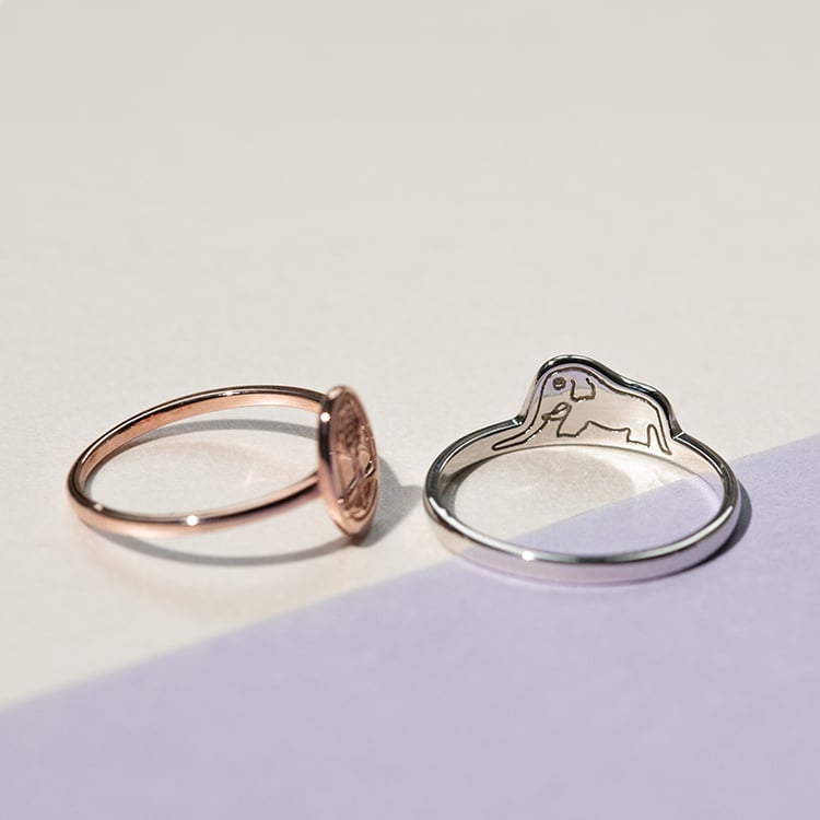 Strieborný prsteň so skrytým slonom Malý princ 138135