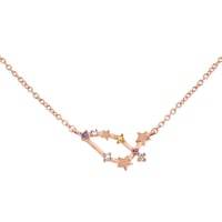 Náhrdelník so znamením zverokruhu Capricorn