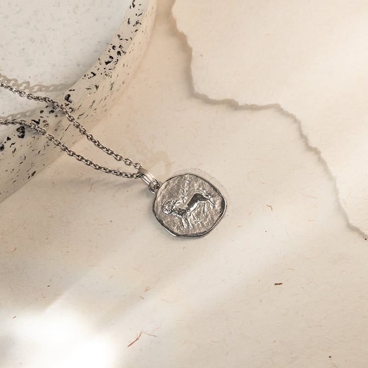 Strieborný prívesok so symbolmi znamenia zverokruhu 136696