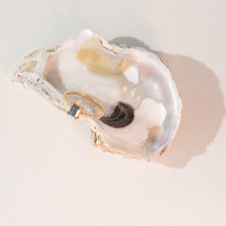 Zlatý prsteň so salt and pepper diamantom Jimi 100978